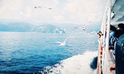 狗年姓米女孩名字大全 属狗米姓女宝宝起名2018