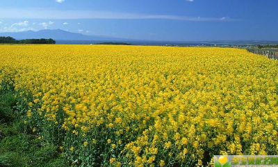 2019年4月22号下午出生的男宝宝怎么样起名字，起什么名字好听