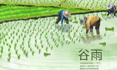 谷雨生的猪宝宝好不好？谷雨出生的人命运如何？