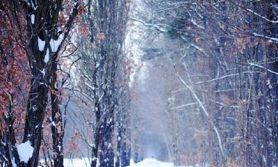 狗年姓庞女孩名字大全 属狗庞姓女宝宝起名2018