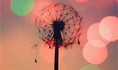 狗年姓麻女孩名字大全 属狗麻姓女宝宝起名2018