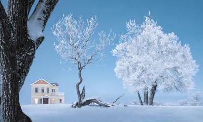 2020年农历十一月廿二小寒出生鼠宝宝男孩名字推荐