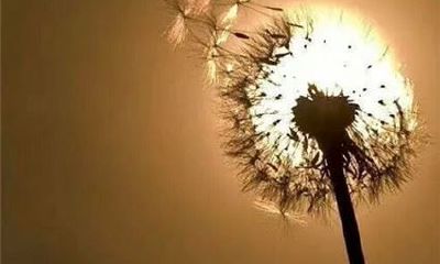 狗年姓强女孩名字大全 属狗强姓女宝宝起名2018