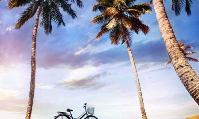 2019年4月7号晚上出生的男宝宝怎么样起名字，起什么名字好听