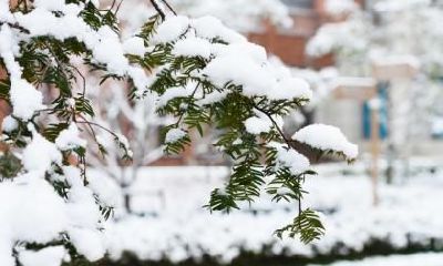 2019年谷雨节气的具体时辰是什么时候？谷雨节气的意义你知道吗？