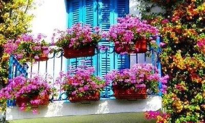 狗年姓江女孩名字大全 属狗江姓女宝宝起名2018