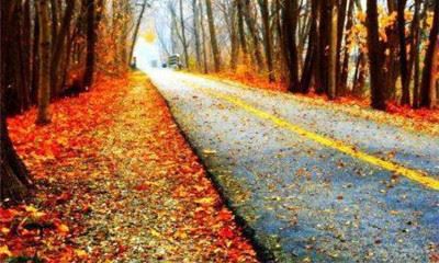 狗年姓郭女孩名字大全 属狗郭姓女宝宝起名2018