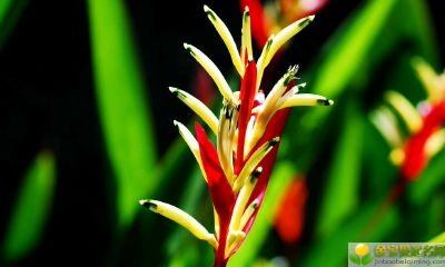 2019年10月3号出生的男宝宝五行缺火起什么名字吉祥，用什么字好