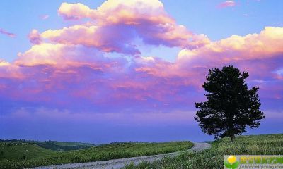 2019年11月25号出生的女宝宝五行缺火起名有什么方法，宜用字有哪