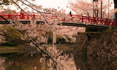 狗年姓干女孩名字大全 属狗干姓女宝宝起名2018