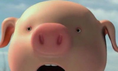 梦见别人变为猪脸