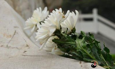 梦到自己在祭拜美女尸体