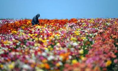 狗年姓宣女孩名字大全 属狗宣姓男宝宝起名2018