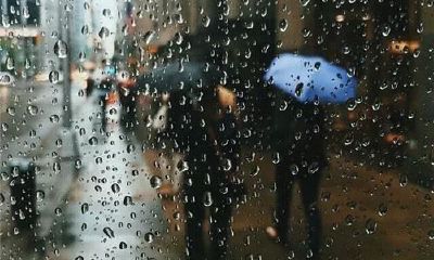 狗年姓莫女孩名字大全 属狗莫姓女宝宝起名2018