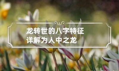 龙转世的八字特征详解 为人中之龙