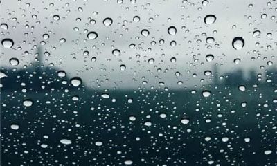 狗年姓昝女孩名字大全 属狗昝姓女宝宝起名2018