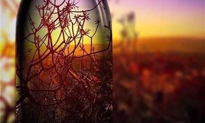 狗年姓包女孩名字大全 属狗包姓女宝宝起名2018