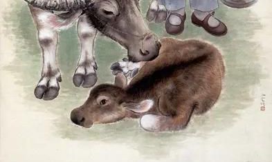 牛牪犇！今日，聊一聊和牛相关的那些事