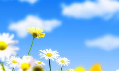 大寒节气出生宝宝乳名，大寒出生怎么起小名