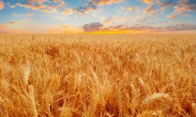 秋分出生的女孩好不好？有什么特殊的说法？