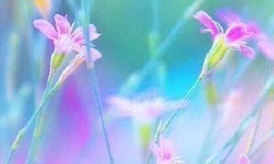 狗年姓崔女孩名字大全 属狗崔姓女宝宝起名2018