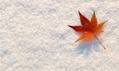 狗年姓应女孩名字大全 属狗应姓女宝宝起名2018