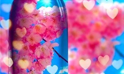 狗年姓洪女孩名字大全 属狗洪姓女宝宝起名2018