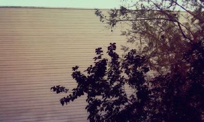 狗年姓裴女孩名字大全 属狗裴姓女宝宝起名2018