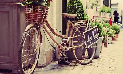 狗年姓荀女孩名字大全 属狗荀姓女宝宝起名2018