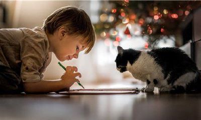 宝宝起名大全男孩,男孩起名大全免费