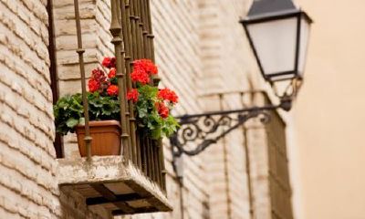 狗年姓荣女孩名字大全 属狗荣姓女宝宝起名2018