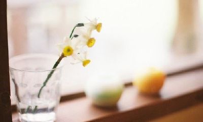 狗年姓羊女孩名字大全 属狗羊姓女宝宝起名2018