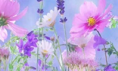 狗年姓石女孩名字大全 属狗石姓女宝宝起名2018