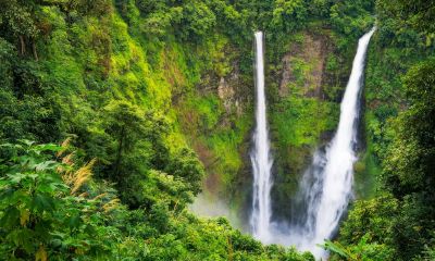 姓向女孩高雅有诗意的名字大全