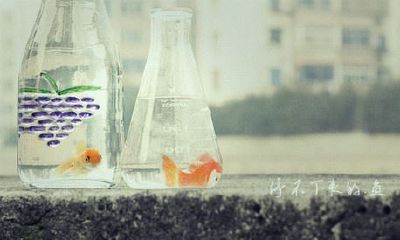 狗年姓车女孩名字大全 属狗车姓女宝宝起名2018