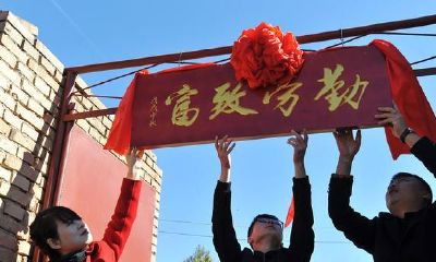 性懒却被成功与财富偏爱的命格