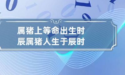 属猪上等命出生时辰 属猪人生于辰时