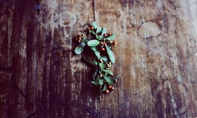 狗年姓储女孩名字大全 属狗储姓女宝宝起名2018