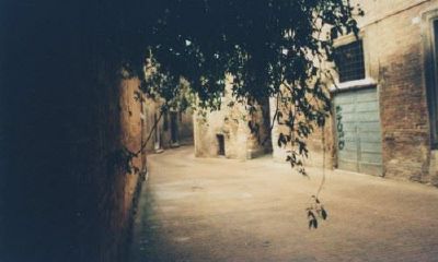 狗年姓靳女孩名字大全 属狗靳姓女宝宝起名2018