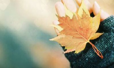 狗年姓滑女孩名字大全 属狗滑姓女宝宝起名2018