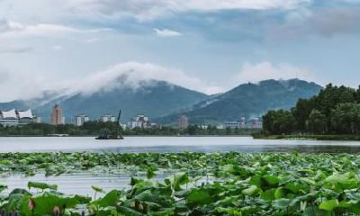 2019年农历三月十六是什么日子,是谷雨节气？