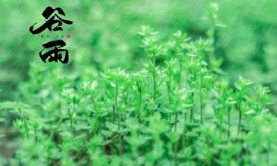 谷雨为什么要走谷雨？走谷雨是什么寓意？