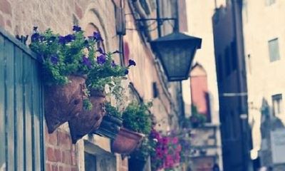 狗年姓汲女孩名字大全 属狗汲姓女宝宝起名2018