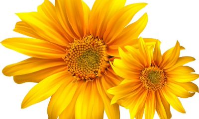 2019年10月30号出生的男宝宝五行缺火起什么名字吉祥，用什么字好