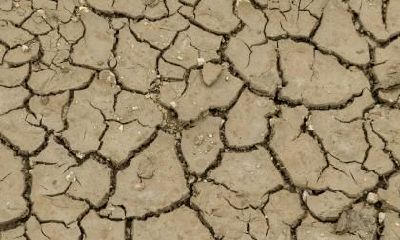 2020年4月19日谷雨出生的男宝宝五行缺木免费取名！