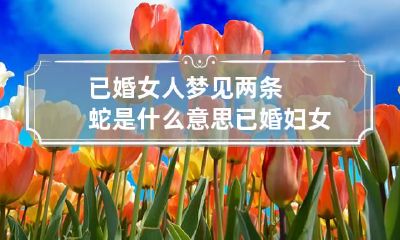 已婚女人梦见两条蛇是什么意思 已婚妇女梦见三条蛇是什么意思