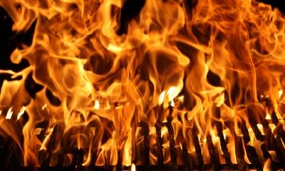 2020年白露节气出生五行缺土的女宝宝名字合集！