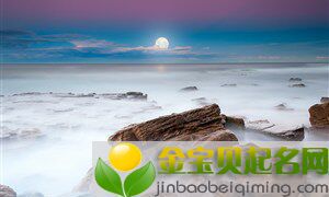 2019年十二月二十八出生的男孩怎么运用双关取名法来起名字