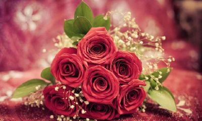 狗年姓索女孩名字大全 属狗索姓女宝宝起名2018