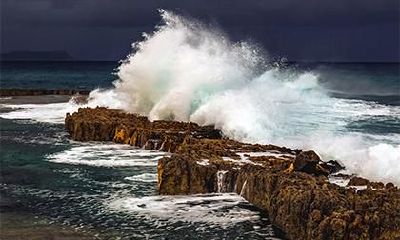 木命起什么名字好？木命取名应该带什么字？